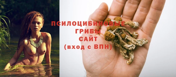 скорость Елизово