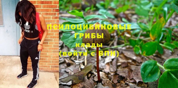скорость Елизово