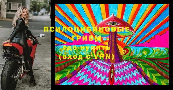 PSILOCYBIN Чердынь
