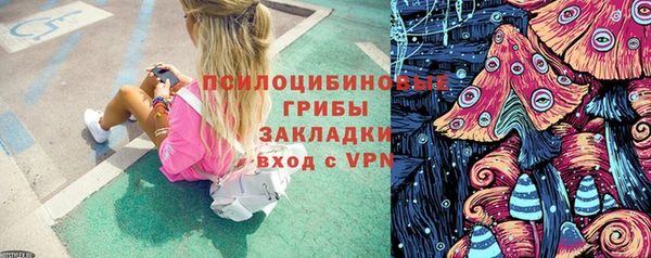 скорость Елизово