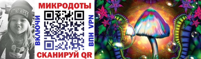 Псилоцибиновые грибы Psilocybine cubensis сайты даркнета официальный сайт Новая Ладога